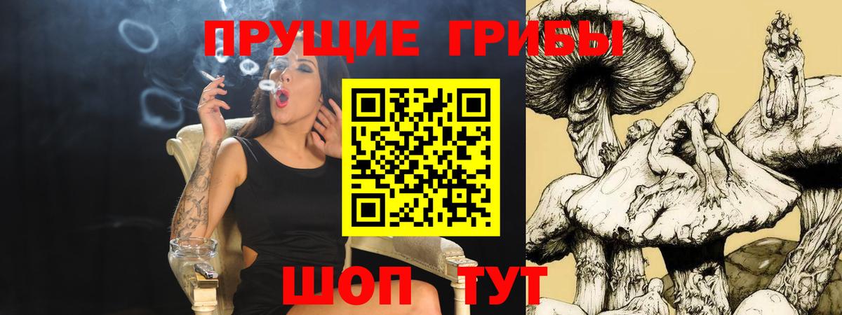 Юрга  Галлюциногенные грибы мухоморы  Вход с VPN 