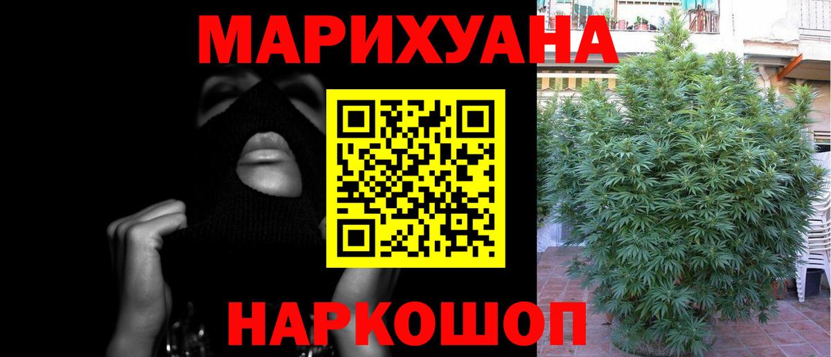 Юрга  Марихуана Amnesia  Конопля ГИДРОПОН  Шишки марихуана THC 21%  Бошки марихуана Bruce Banner  Вход с VPN 